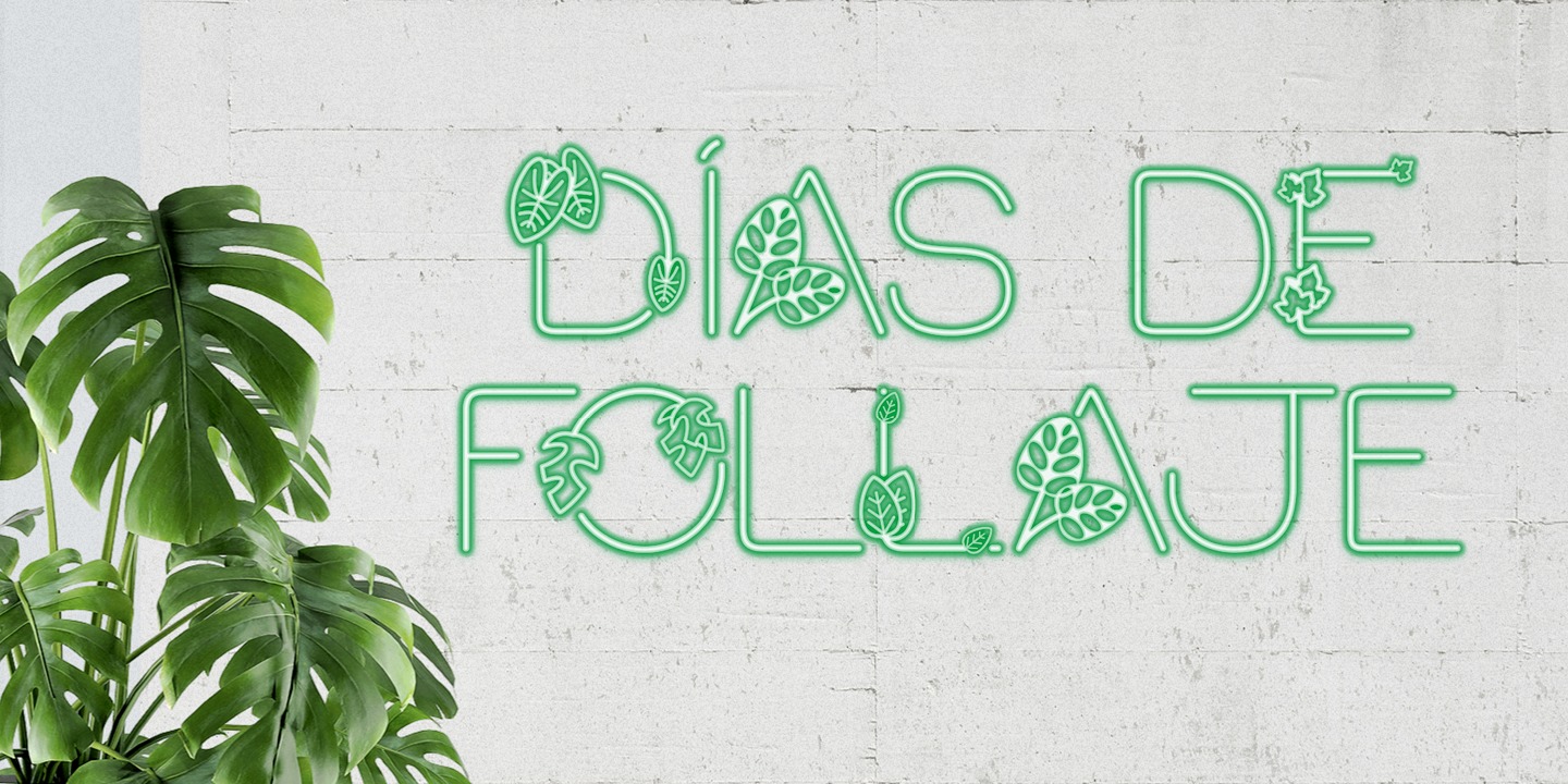 Dias de Follaje
