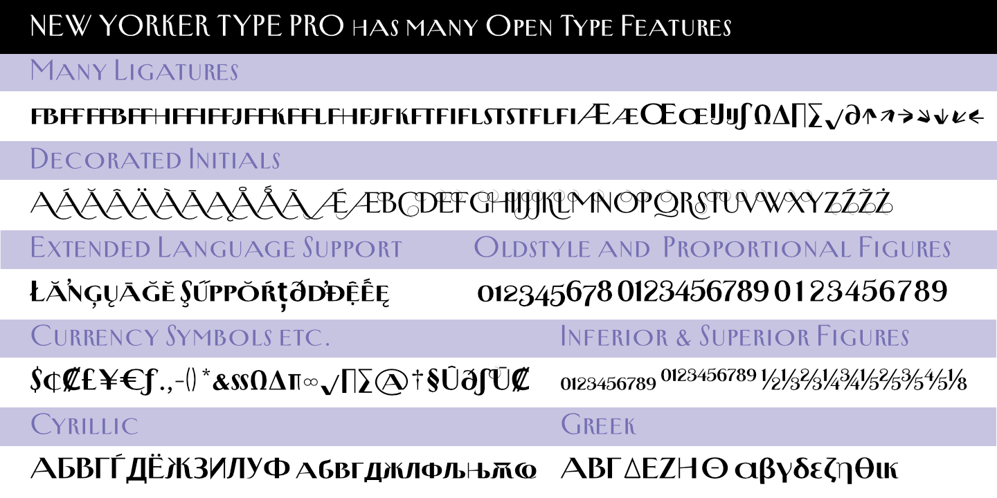 New Yorker Type Pro
