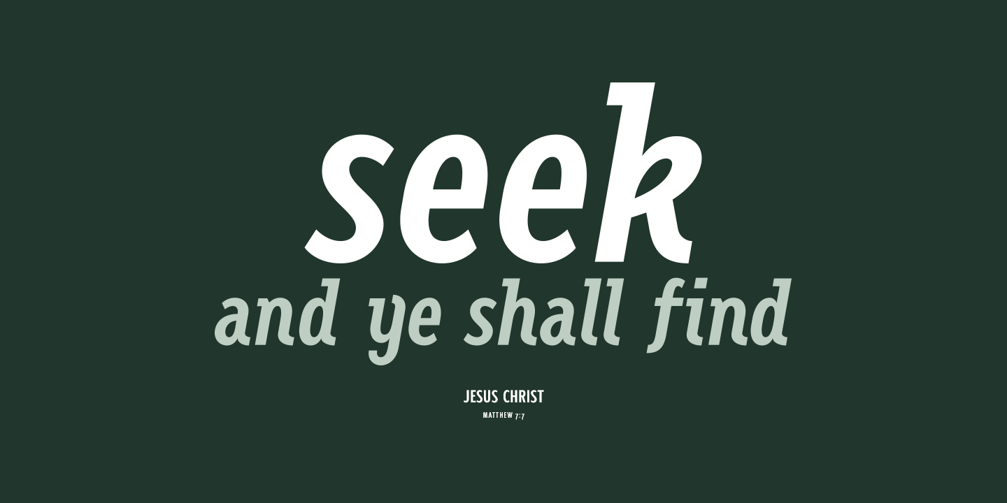 VTC Fellbaum Grotesk