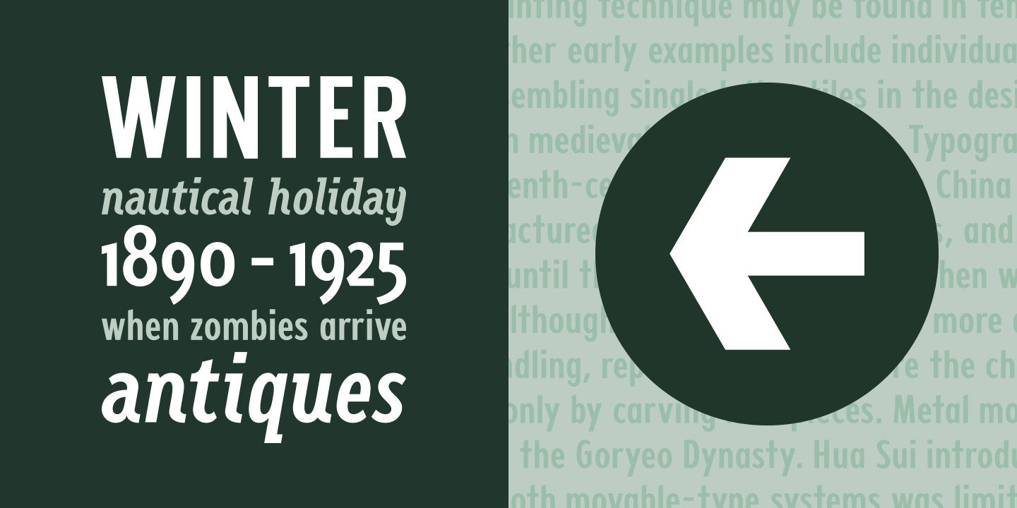 VTC Fellbaum Grotesk