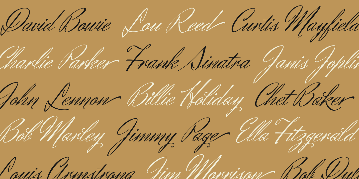 Herr Von Muellerhoff Pro