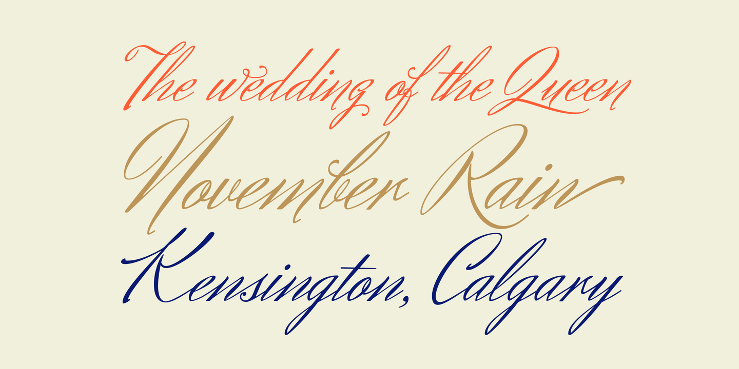 Herr Von Muellerhoff Pro