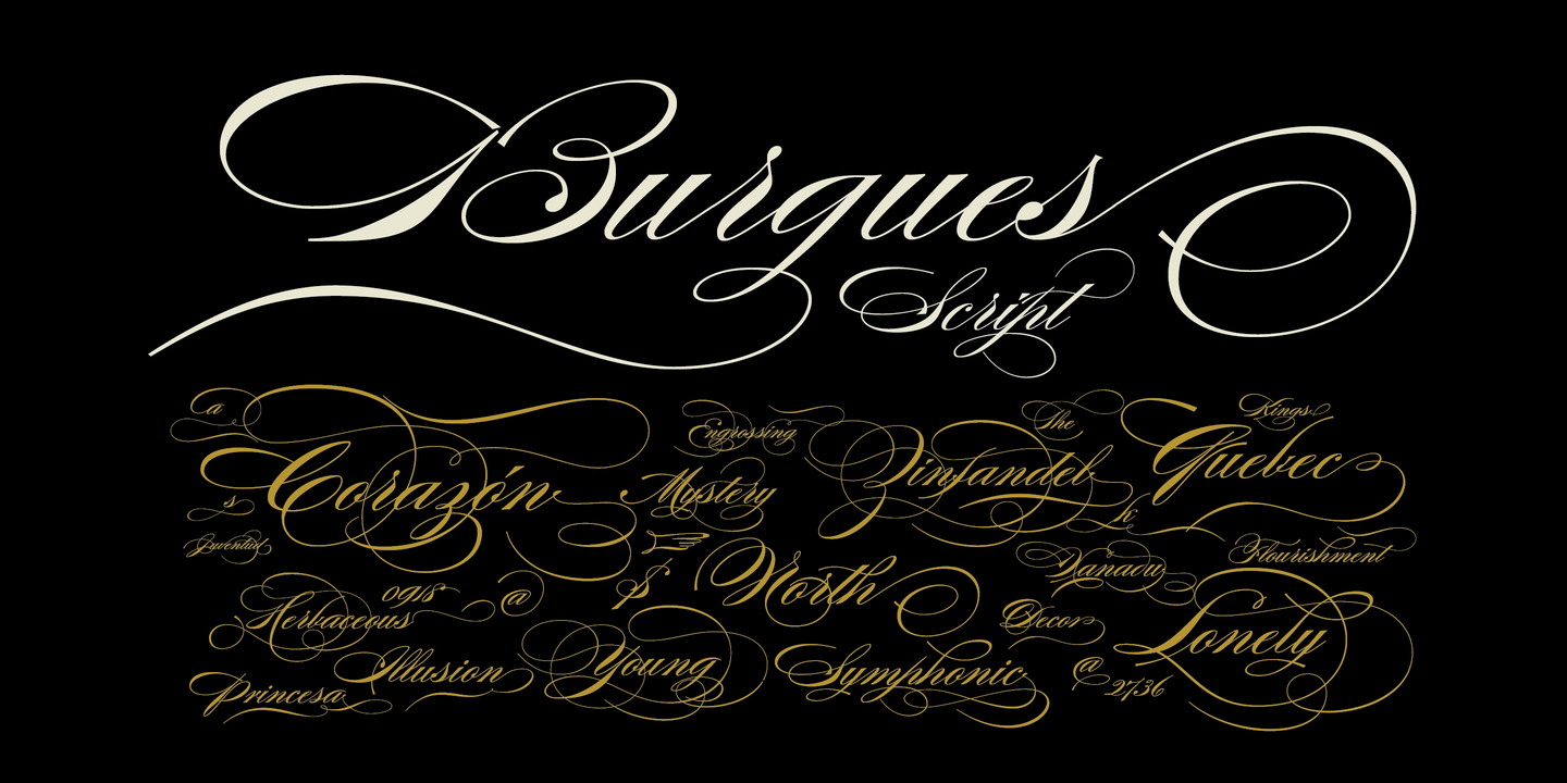 Burgues Script