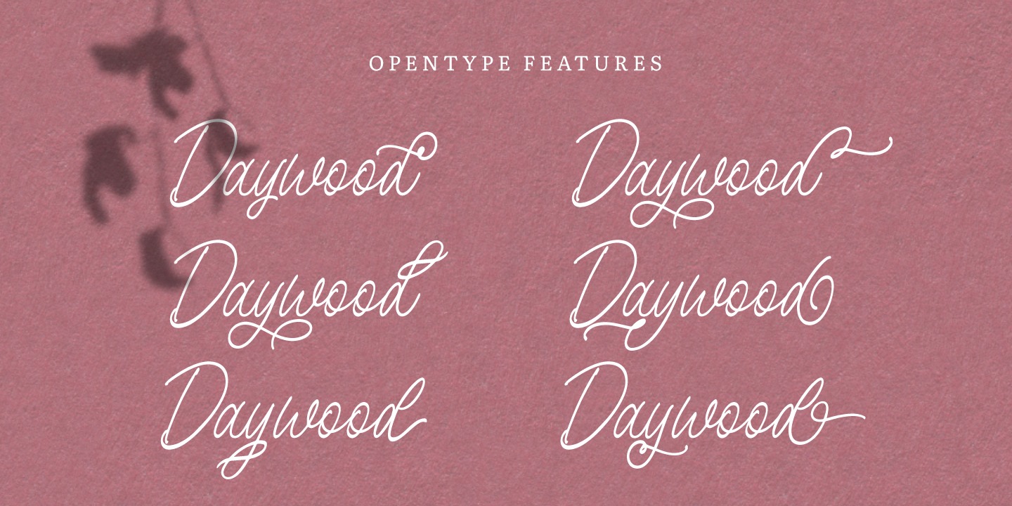 Birdspring Signature