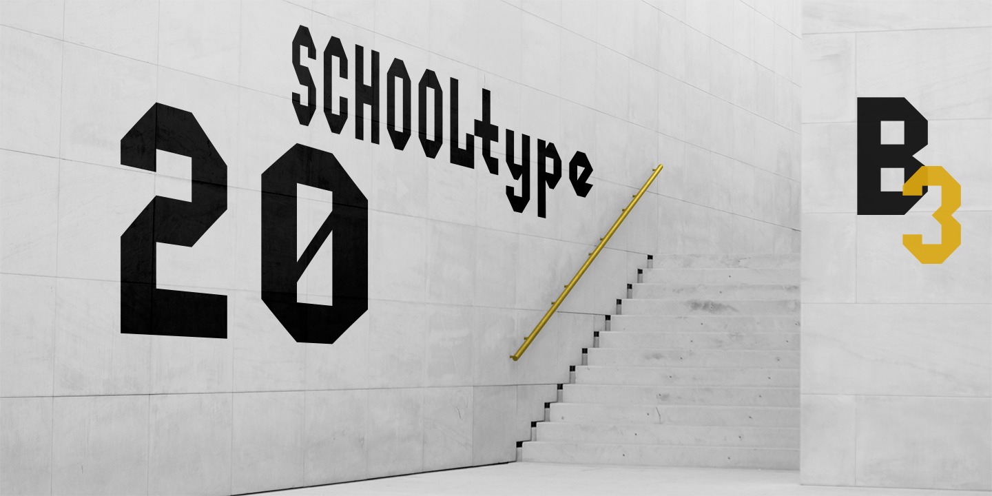 School Type