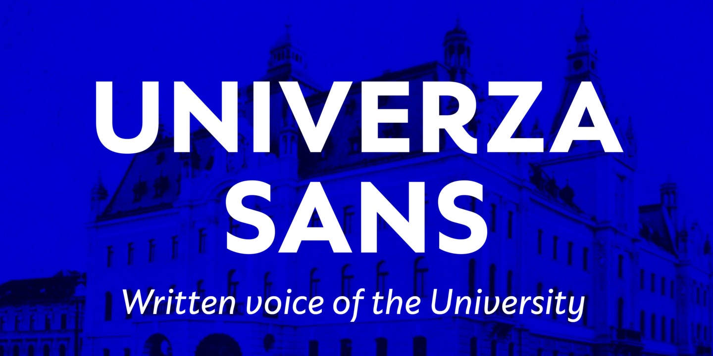 Univerza Sans