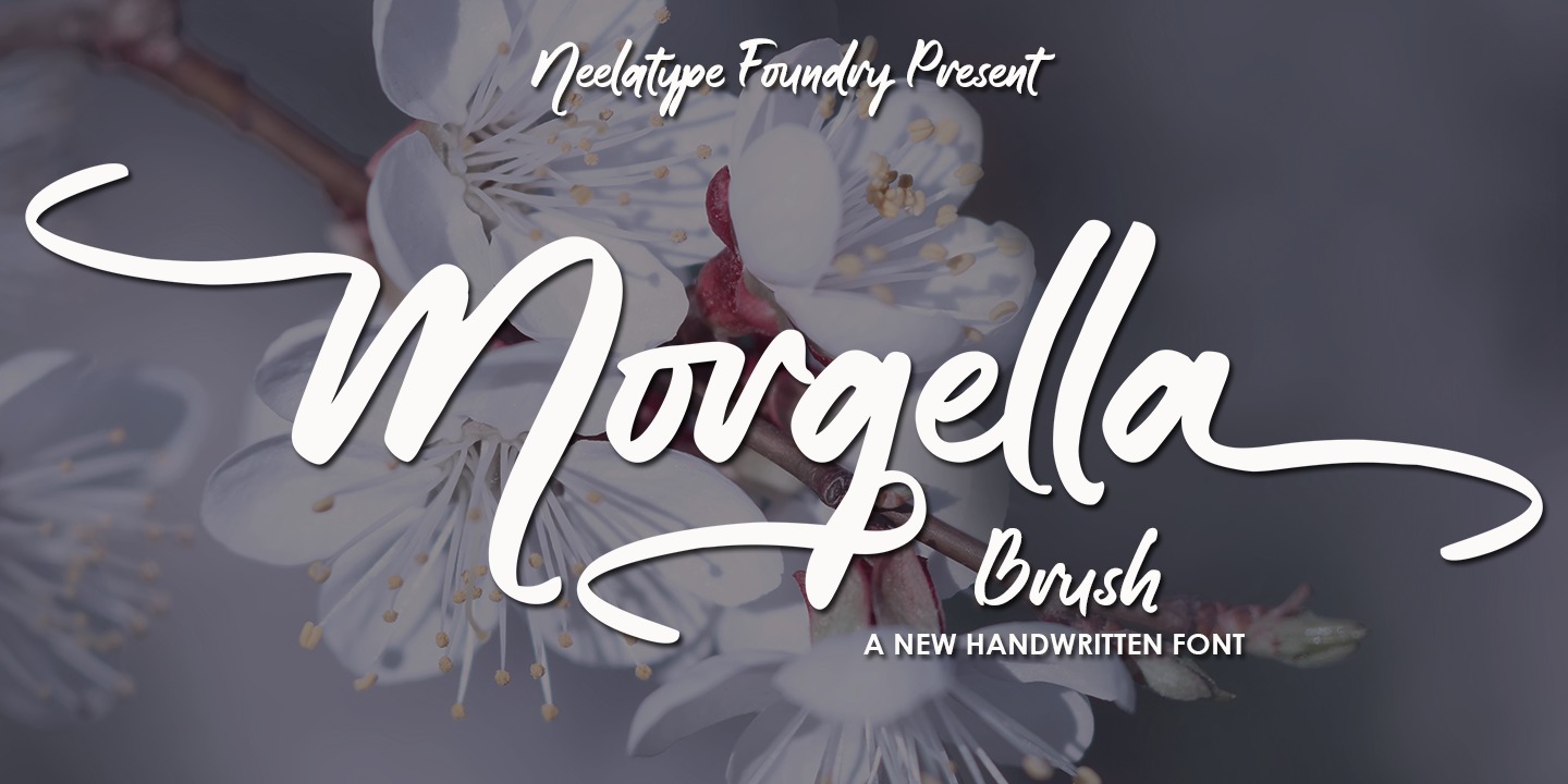 Morgella Brush