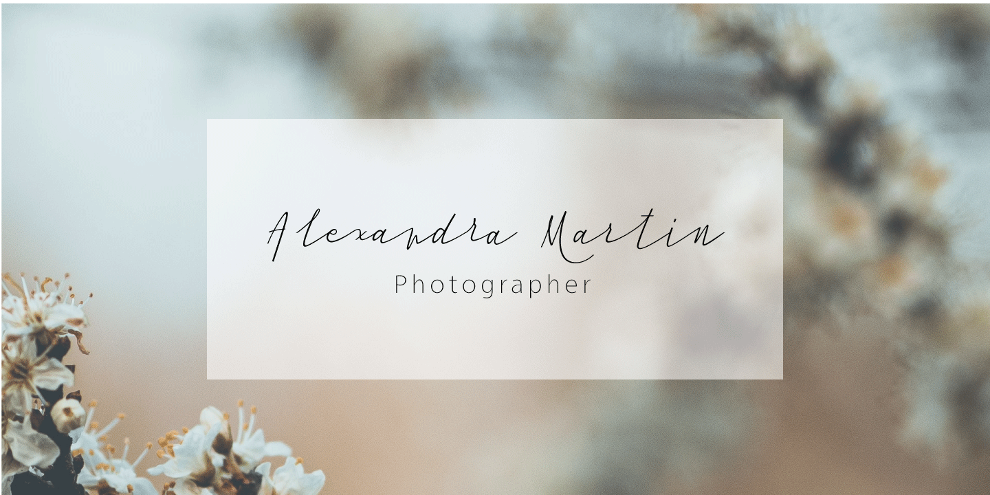 Cursive Signa Script