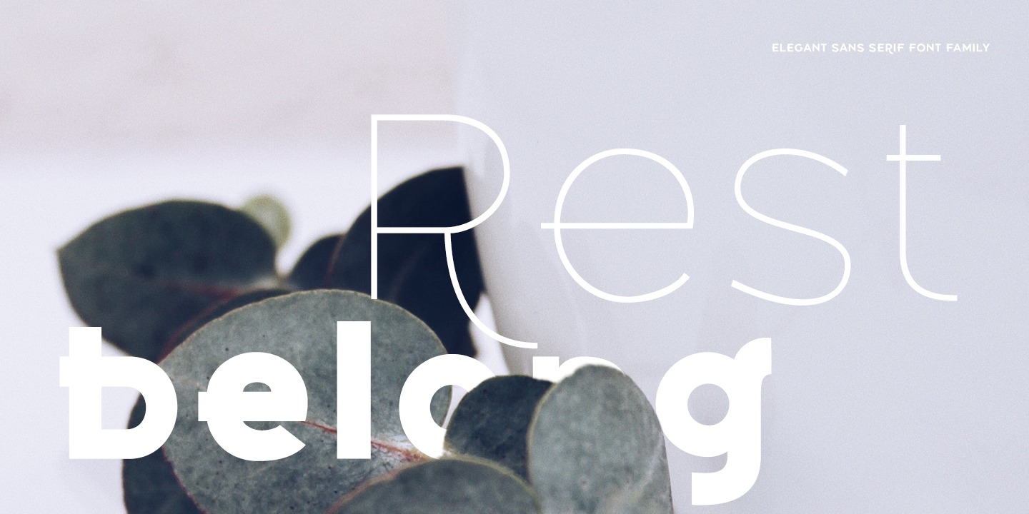 Belong Sans
