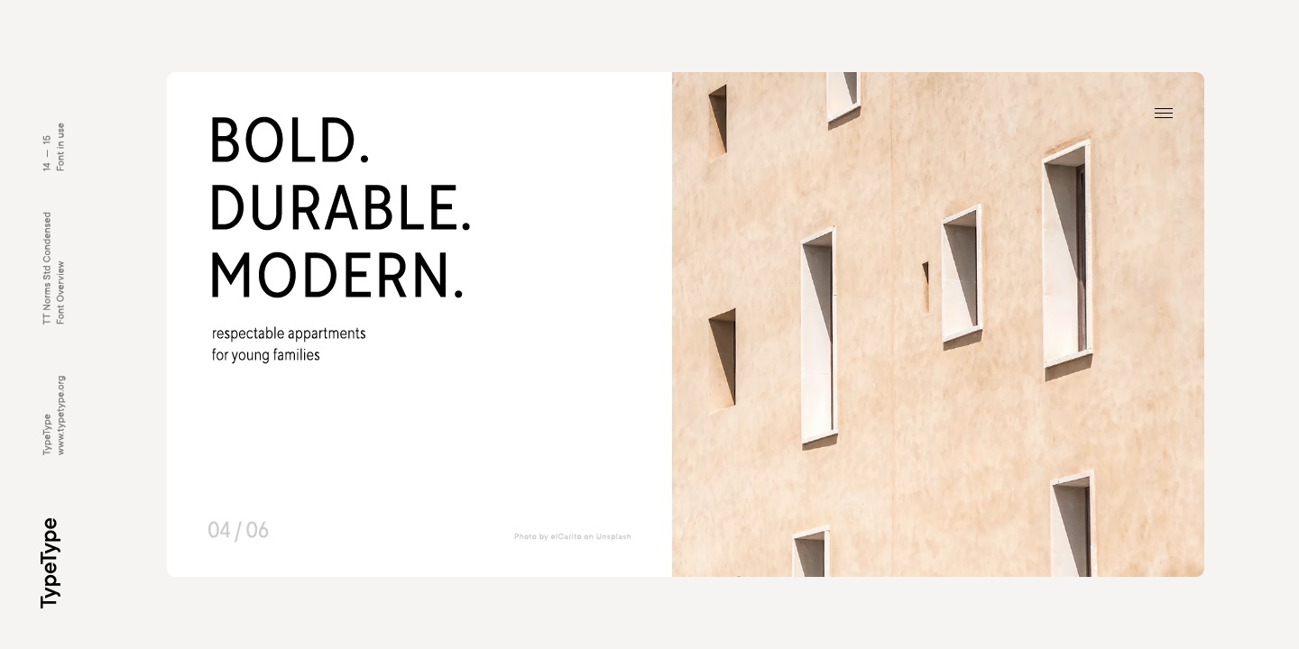 TT Norms Std Condensed