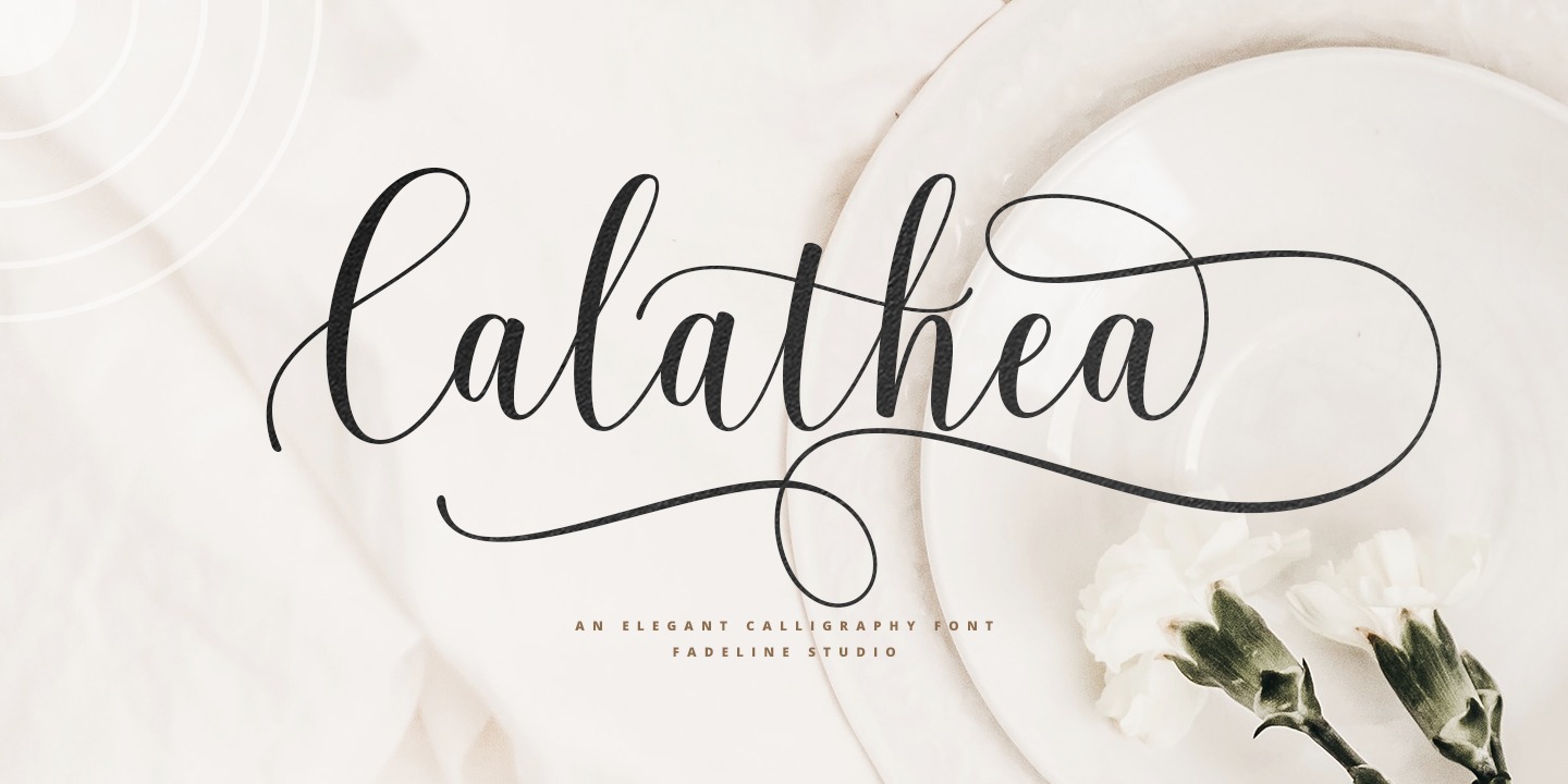 Calathea Script
