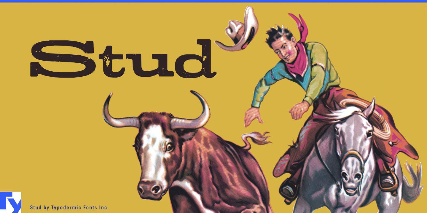 Stud