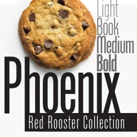 Phoenix Pro Poster