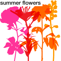We Love Nature™ Summer Flowers