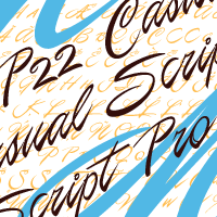 P22 Casual Script™
