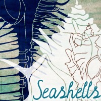 Seashells
