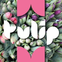 Tulip™