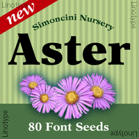 New Aster Poster