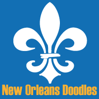 New Orleans Doodles™