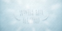 Winter Mix Blizzard