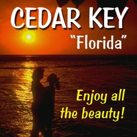 Cedar Key Poster