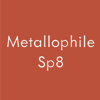 Metallophile Sp8 Poster