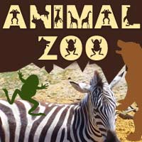 Animal Zoo