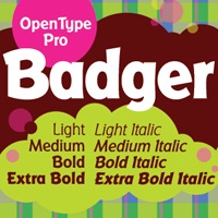 Badger Pro Poster