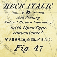 Heck Italic
