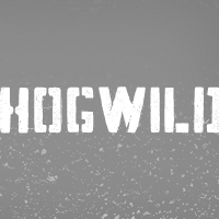 Hogwild™