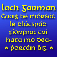 Loch Garman™