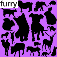 Furry