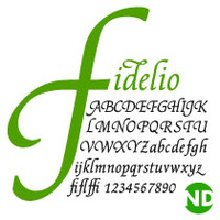 Fidelio ND™