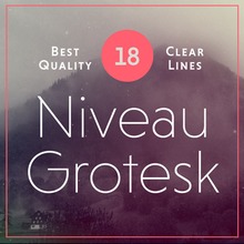 Niveau Grotesk™