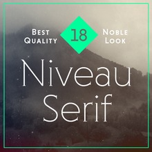 Niveau Serif™