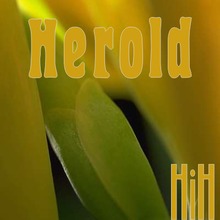 Herold