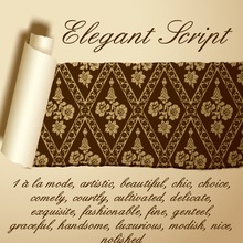 Elegant Script Pro