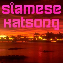 Siamese Katsong Pro