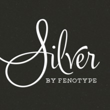 Silver™