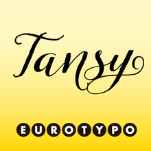 Tansy