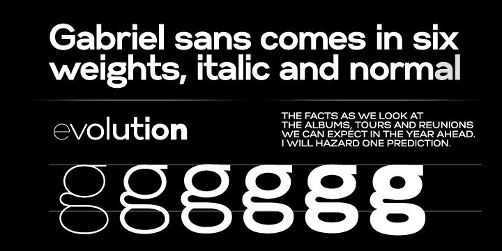 Gabriel Sans™
