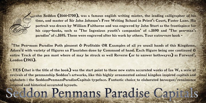 Seddon Penmans Paradise Capitals