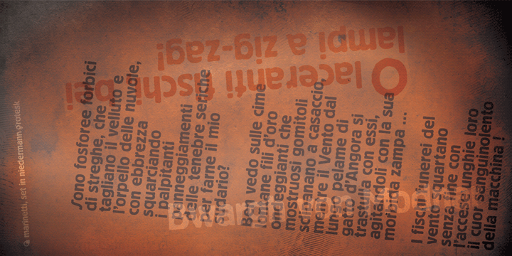 Niedermann Grotesk™