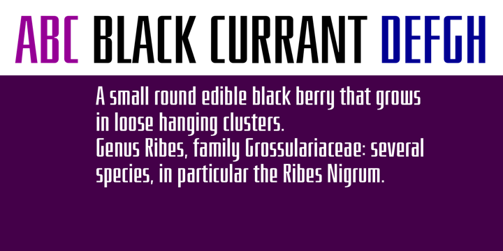 Black Currant