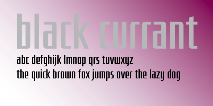 Black Currant