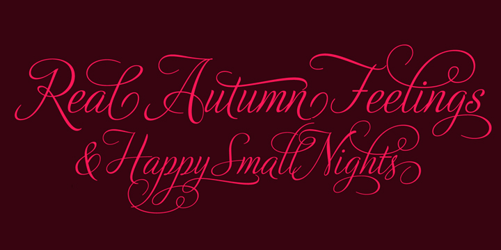 Download Adios Script Pro Webfont Desktop Font Myfonts SVG Cut Files