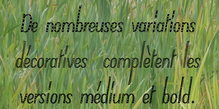 Typha Latifolia™