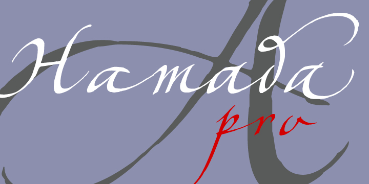 Hamada™