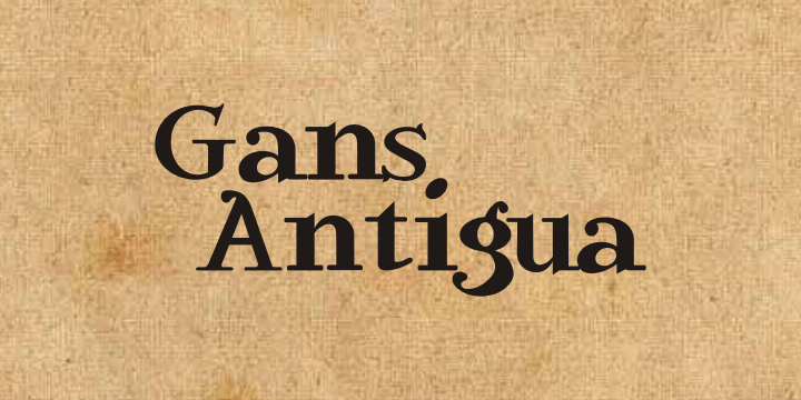 Gans Antigua