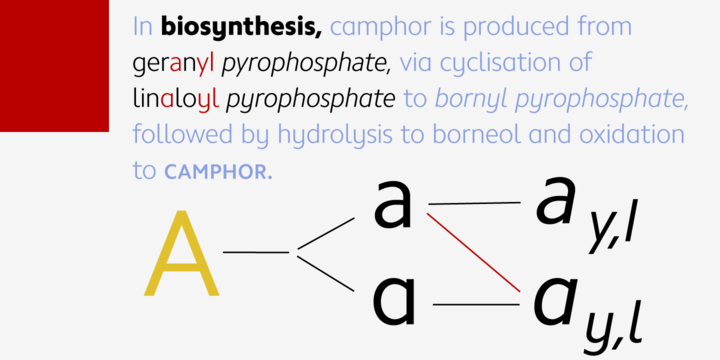 Camphor™